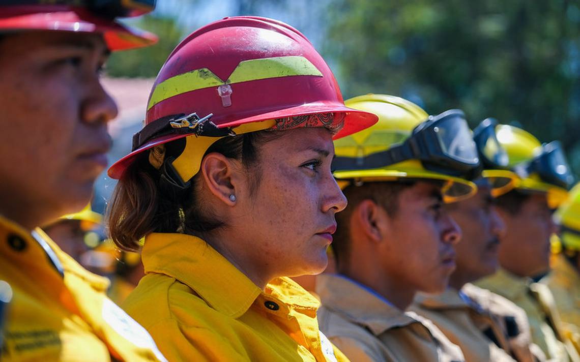 Jalisco Casi Dos Mil Brigadistas Combatir N Incendios Forestales Este