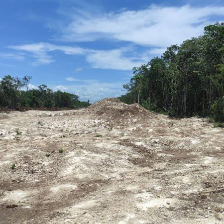 Activistas convocan a la primera “Caravana por el Agua y la Selva” en el tramo 5 del Tren Maya – El Occidental