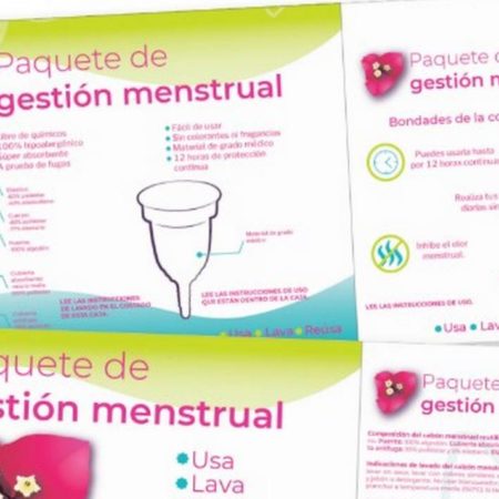 Conafe repartirá kit de higiene menstrual entre alumnas – El Occidental