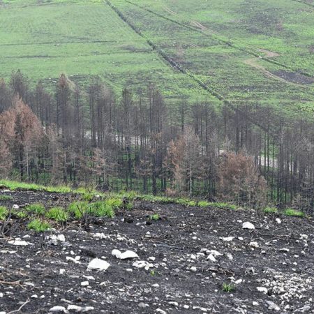 México, primer lugar en percepción de afectaciones por la crisis climática – El Occidental