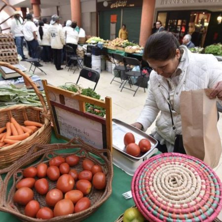 Prohibir el uso de plaguicidas impactaría en la seguridad alimentaria del país: UMFFAAC – El Occidental