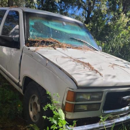 Mazamitla: Policías del Estado aseguraron camioneta con blindaje artesanal – El Occidental