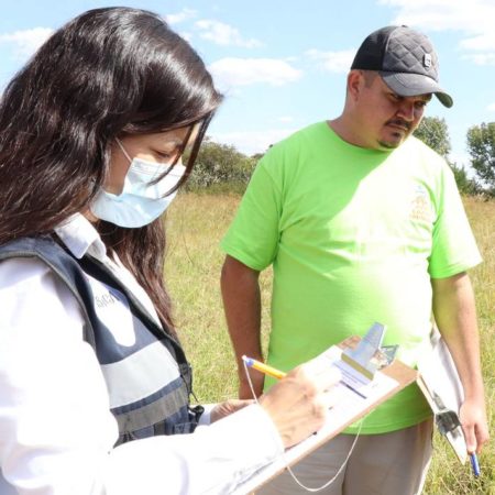 Una vez confirmada la influenza aviar, es inevitable el sacrificio de las aves – El Occidental