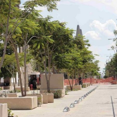 Piden renombrar el Paseo Alcalde por Paseo de personas desaparecidas – El Occidental