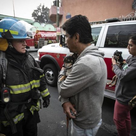 Rescatan a dos perritos de incendio en casa de la colonia Centro en Guadalajara – El Occidental