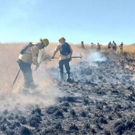 Valle de los Molinos: Se queman 15 hectáreas de pastizales; bomberos y brigadistas sofocan el fuego – El Occidental