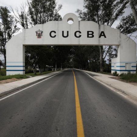 Viveros del CUCBA ya producen vegetación del jardín botánico de Huentitán – El Occidental