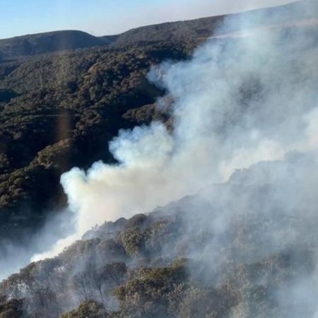 Bosque de la Primavera: Brigadistas combaten incendio en el paraje Los Volcanes – El Occidental