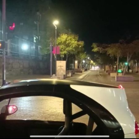 Detienen a mujer que vandalizó esculturas en Paseo Alcalde – El Occidental