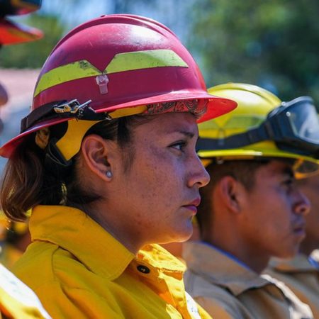 Jalisco: Casi dos mil brigadistas combatirán incendios forestales este año – El Occidental