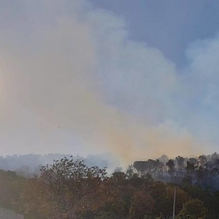 Autoridades de distintas dependencias atienden fuerte incendio en el paraje Lomas de La Primavera – El Occidental