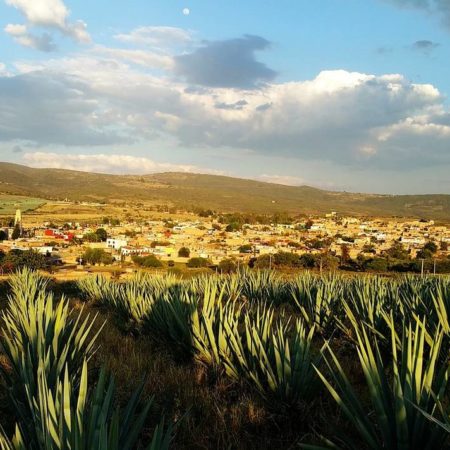 Día Nacional del Tequila: Para celebrarlo habrá video mapping y realidad aumentada en el centro – El Occidental