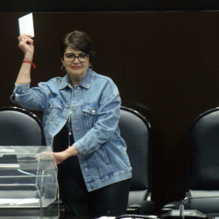 PAN impugnará elección de Guadalupe Taddei como presidenta del INE – El Occidental