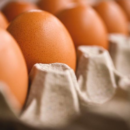 Precio del huevo comenzará a bajar hasta después de la Cuaresma – El Occidental