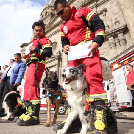 Binomios caninos que participaron en sismo de Turquía fueron reconocidos; conquistaron a tapatíos – El Occidental