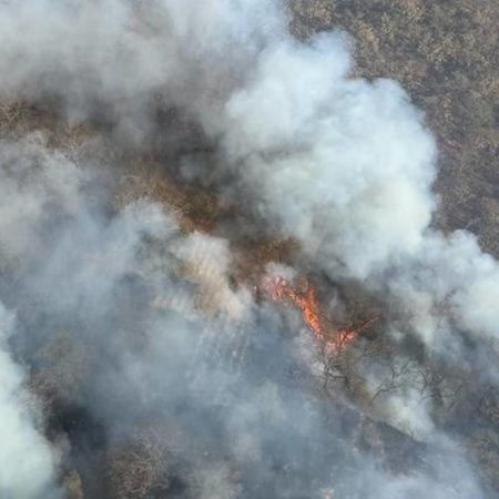 Brigadistas combaten incendio en el paraje Ampliación de Santa Cruz – El Occidental