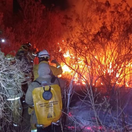 Brigadistas sofocan incendios forestales en El Poleo y el Cerro de Totoltepec – El Occidental