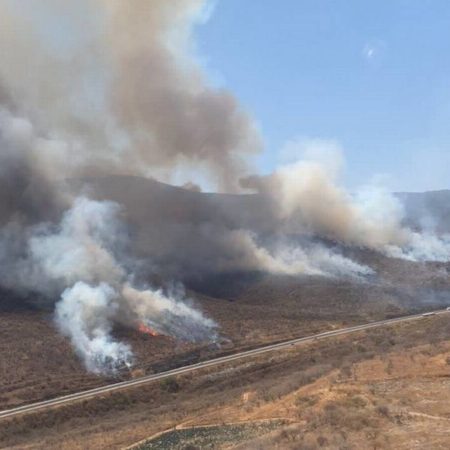 Detienen a responsable de incendio forestal en Cerro Viejo – El Occidental