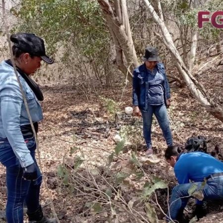 Fiscalía Especializada en Desaparición de Personas del Estado de Colima halla 10 fosas con 26 cuerpos en Colima – El Occidental