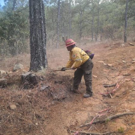 Semadet activa alerta atmosférica por incendios forestales – El Occidental