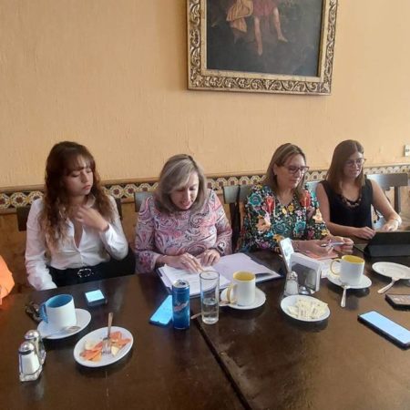 Exige grupo G-10 por Jalisco detener reforma electoral que atenta a derechos de mujeres – El Occidental