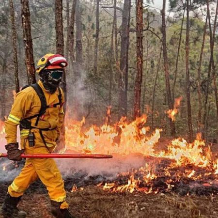 Gobernador Enrique Alfaro anuncia contratación temporal de más brigadistas para combatir incendios – El Occidental