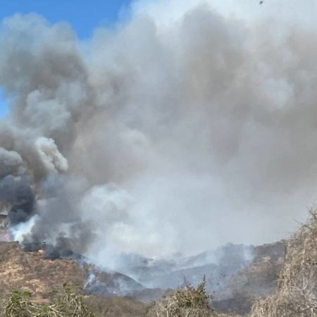 Hay en Guerrero cuatro incendios forestales activos – El Occidental