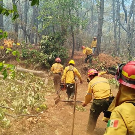 Tapalpa: Brigadistas extinguen incendio en el paraje El Carrizal – El Occidental