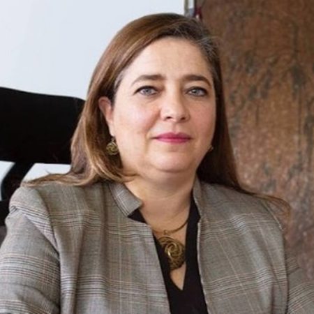 Universidades sufrirán por desaparición de empleos: Silvia Elena Giorguli, presidenta del Colmex – El Occidental